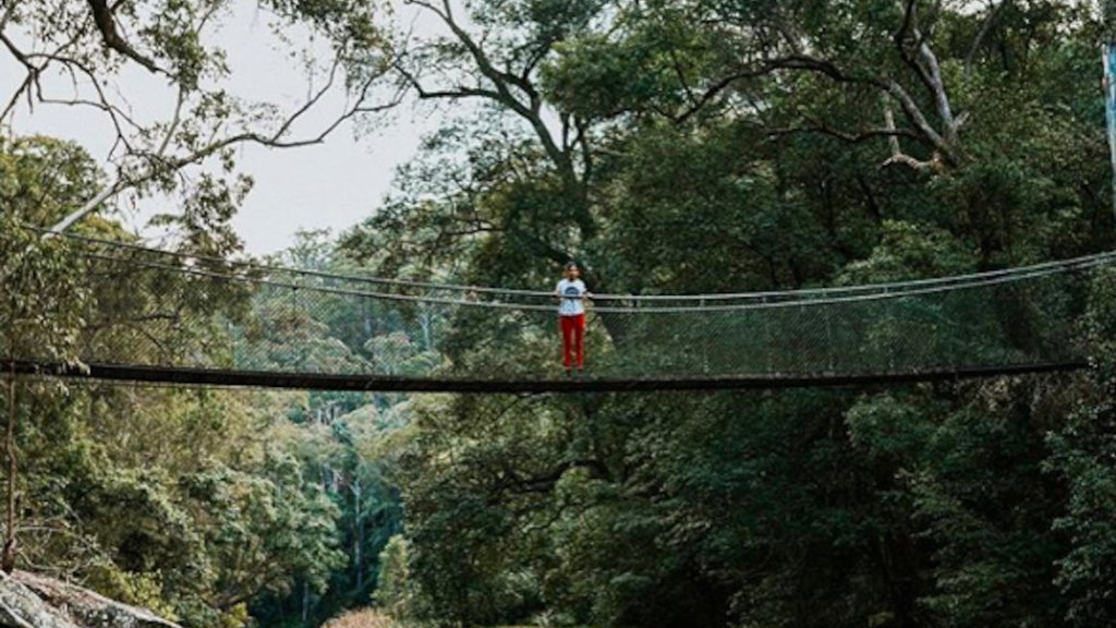 Suspension Bridge, Brisbane water National Park, Australia