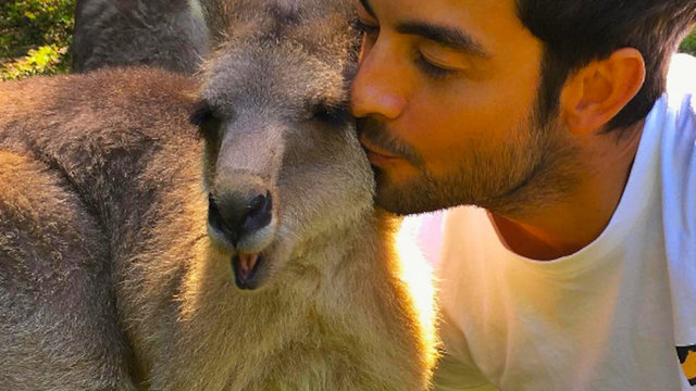 Wildlife Parks Gold Coast Wildlife Parks Gold Coast