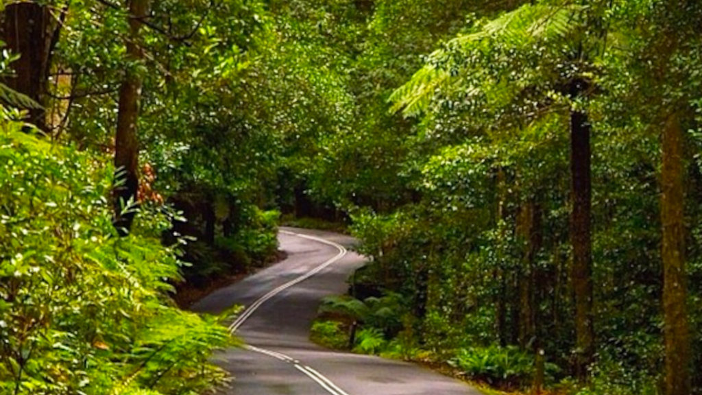 Megalong Valley, Blue Mountains, Australia Megalong Valley, Blue Mountains, Australia
