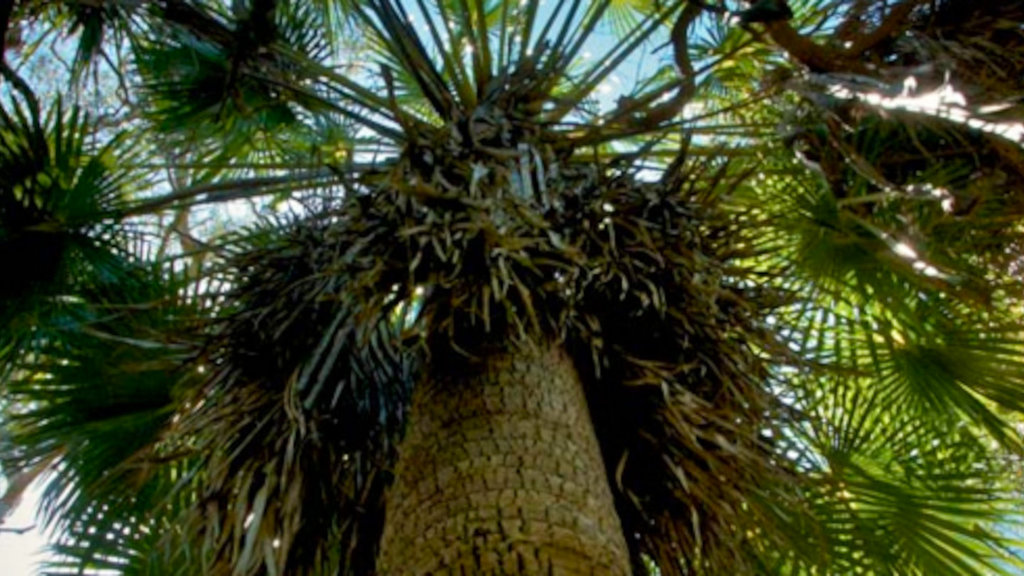 Myall Lakes Australia Myall Lakes Australia