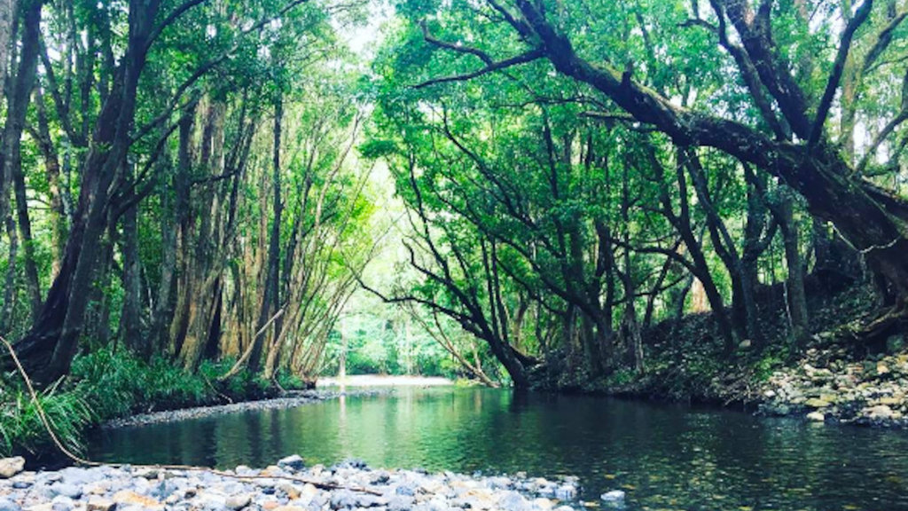Never Never River, Bellingen, NSW Never Never River, Bellingen, NSW