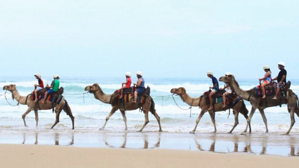 things to do in Port Stephens things to do in Port Stephens