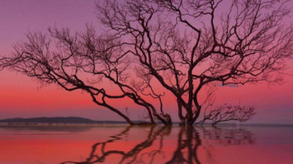 Port Stephens, Australia Port Stephens, Australia