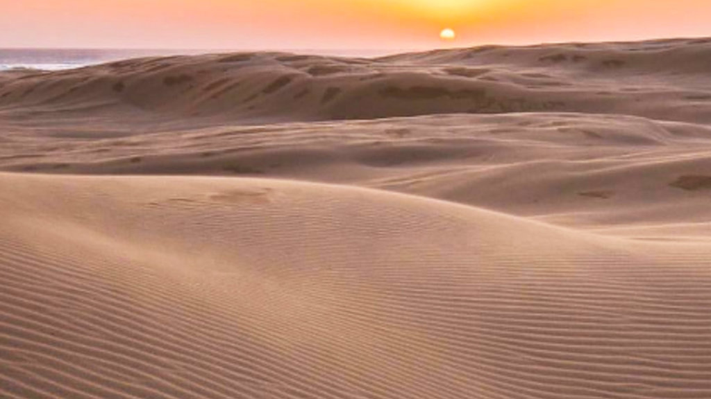 port stephens sand dunes port stephens sand dunes