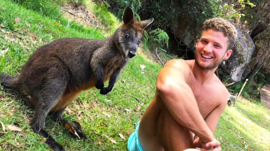 Ku ring gai Chase National Park, Australia.